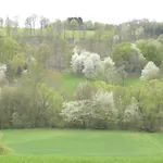 Hotel Thueringer Hof Richelsdorf