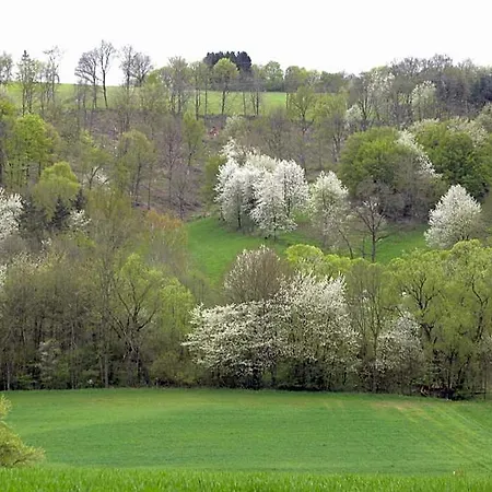 Thueringer Hof 3* Richelsdorf