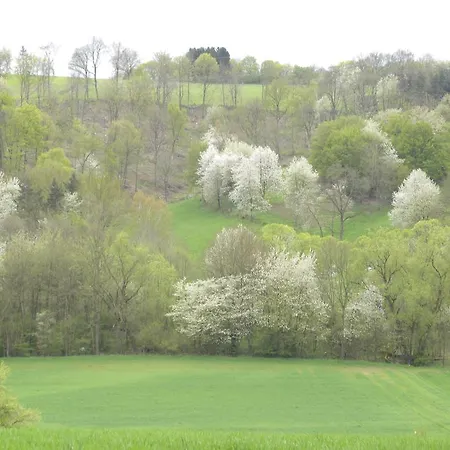 فندق Thueringer Hof Richelsdorf