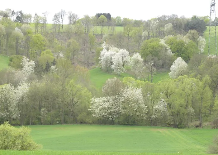 Hotel Thüringer Hof Richelsdorf